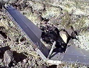 F4 WING
