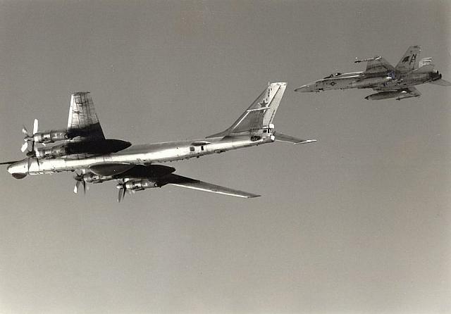 Bear with a Midway escort