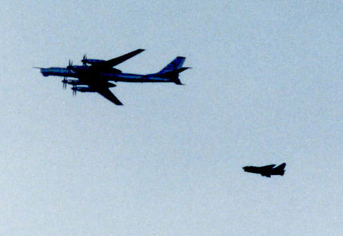 BEAR-IN-THE-AIR