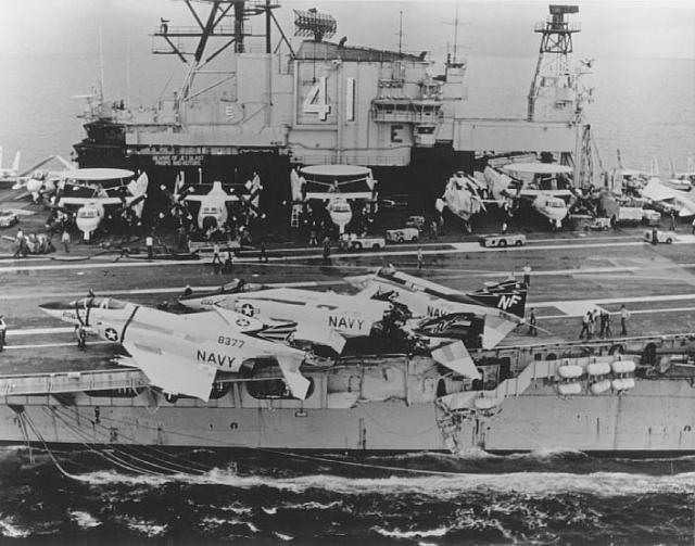 Cactus_damage - Courtesy of Scott McGaugh