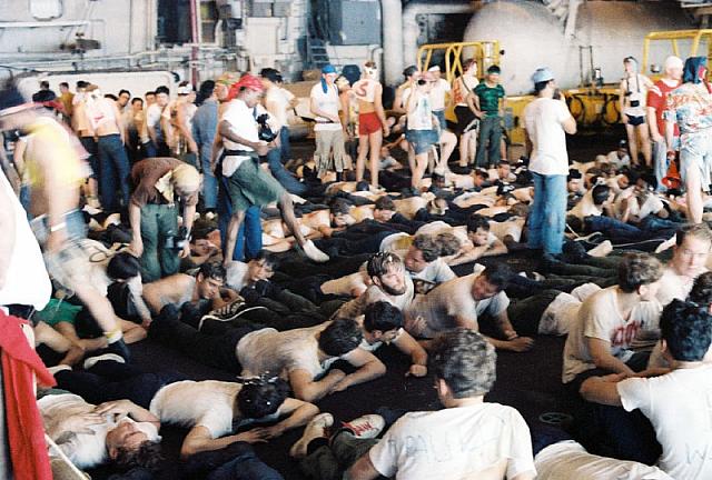 Rounding_up_some_Wogs