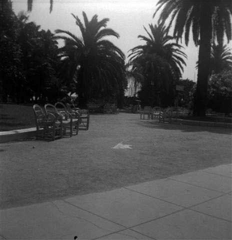 NEGS-042.jpg