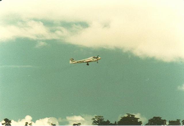 cubi1983