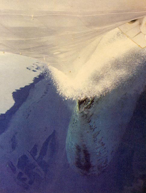 midwaybow1980