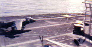 harrier3