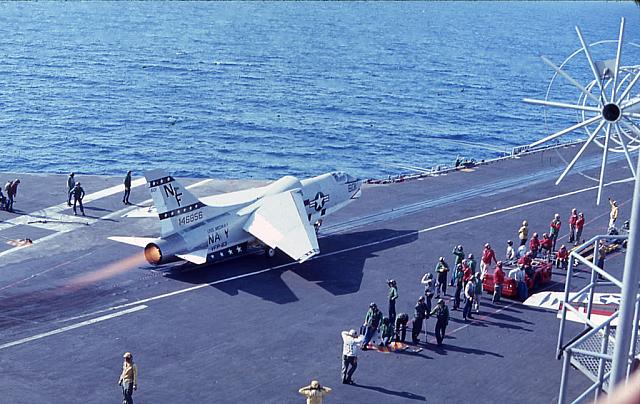 RF8_cat_shot