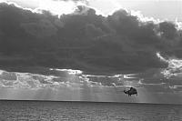 NEG-2