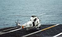 IMG_0020.jpg