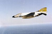 Viggie inflight