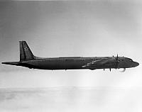 IL-38 MAY
