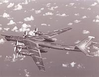 1982 - Russian Bear - Cameron Bay