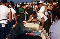 Courtesy of Gary Schreffler