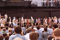 shell back beautys 1972