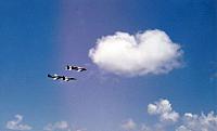 Intruders and Hornets a nice mix