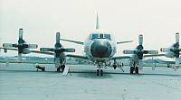IMG_0053.jpg
