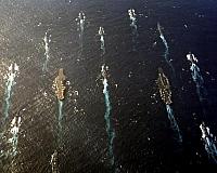 DN_SC_85_07447