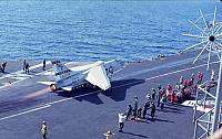 RF8_cat_shot