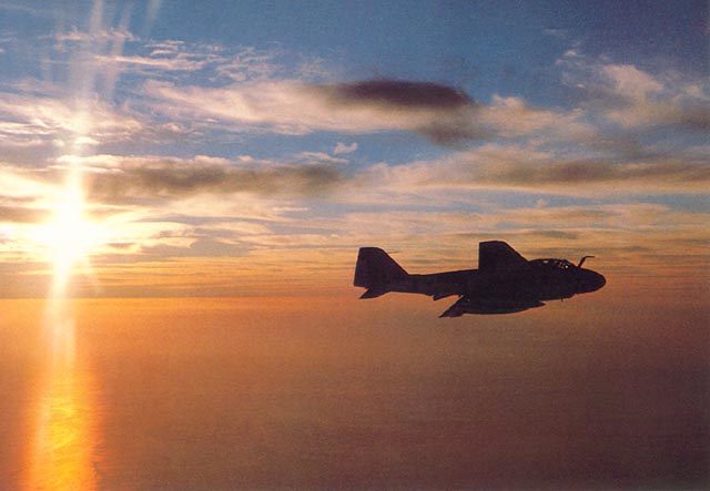 VA_115i