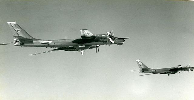 TWO-BEAR-'D'-IN-FORMATION