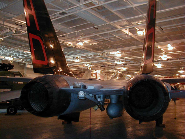 Tomcat_baby_got_Back