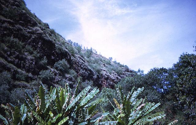 Hawaii_71g