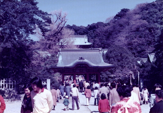 VSImage_44
