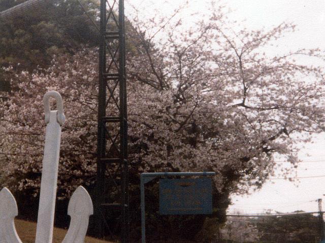 Yokosuka