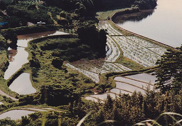Coast on way to Nagasaki