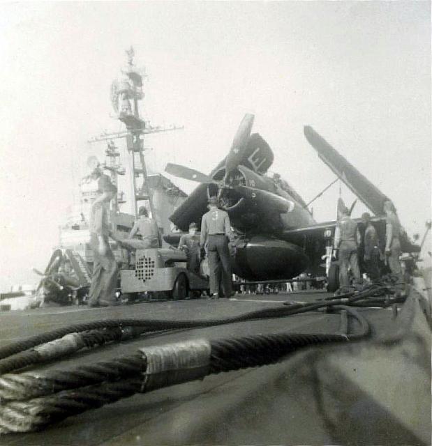 Guardian on port cat