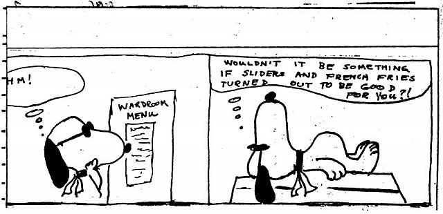 Flight Plan cartoon - courtesy of Pete Switzer