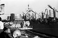 midway036_1.jpg