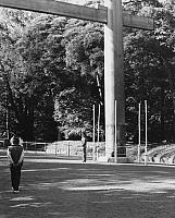 Meji_Jingu_Tenple_Tokyo