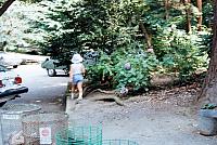 A_young_one_at_Mt_Fuji_197