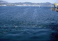 Subic3