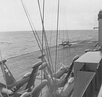 Operation Mainbrace - F4U Takes off. F9F's waiting